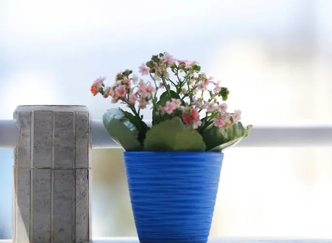 Lägenhetshotell Celestial Garden Adamantas (Milos)